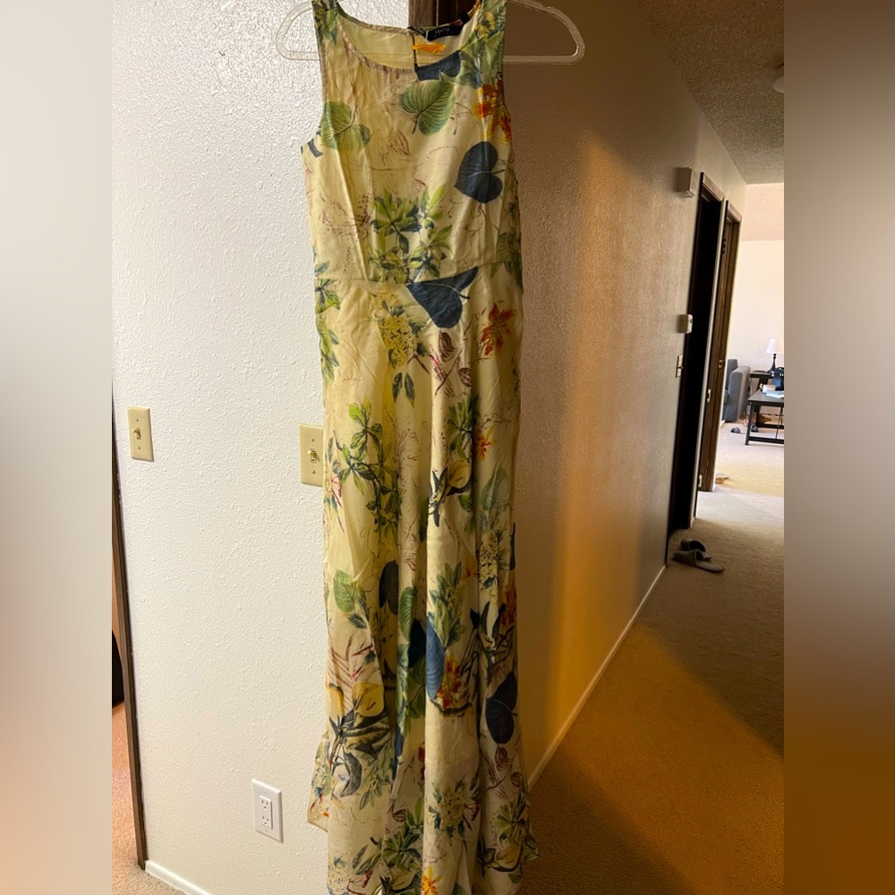 Beautiful floral dress: Very flowy: Dry cleaned